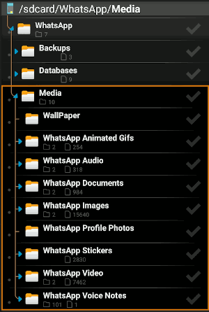واجهة التطبيق العربية